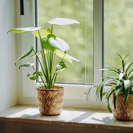 アパート Edler Wohnraum Luxurioese 2 Sz Mit Balkon, Kaffeevollautomat, Klima & Lift