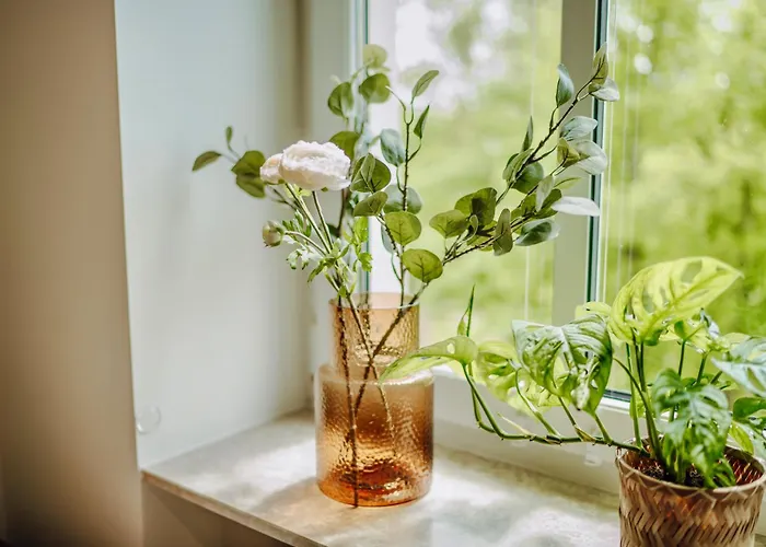 Appartement Edler Wohnraum Luxurioese 2 Sz Mit Balkon, Kaffeevollautomat, Klima & Lift *