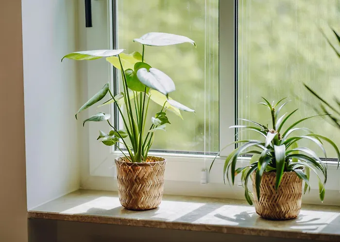 Appartement Edler Wohnraum Luxurioese 2 Sz Mit Balkon, Kaffeevollautomat, Klima & Lift